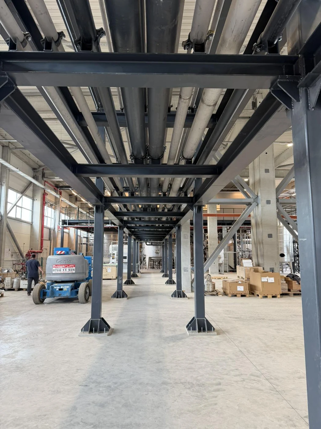 Нов завод за бета-каротин – BMSS Construction